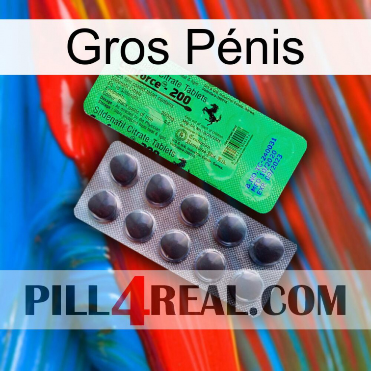 Gros Pénis new04